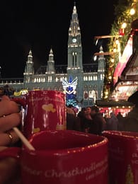 mindwise_testimonial_vienna