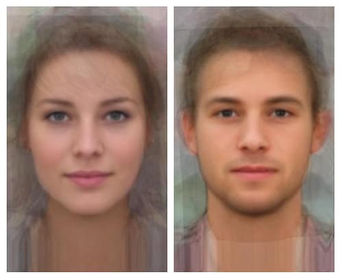 average dutch man woman